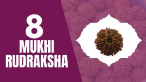 Read more about the article EIGHT MUKHI RUDRAKSHA