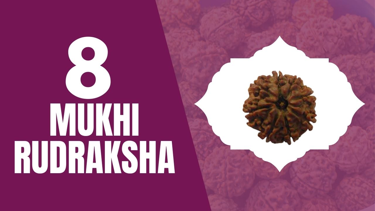 You are currently viewing EIGHT MUKHI RUDRAKSHA