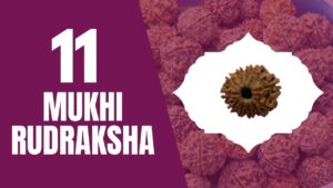 Read more about the article ELEVEN MUKHI RUDRAKSHA