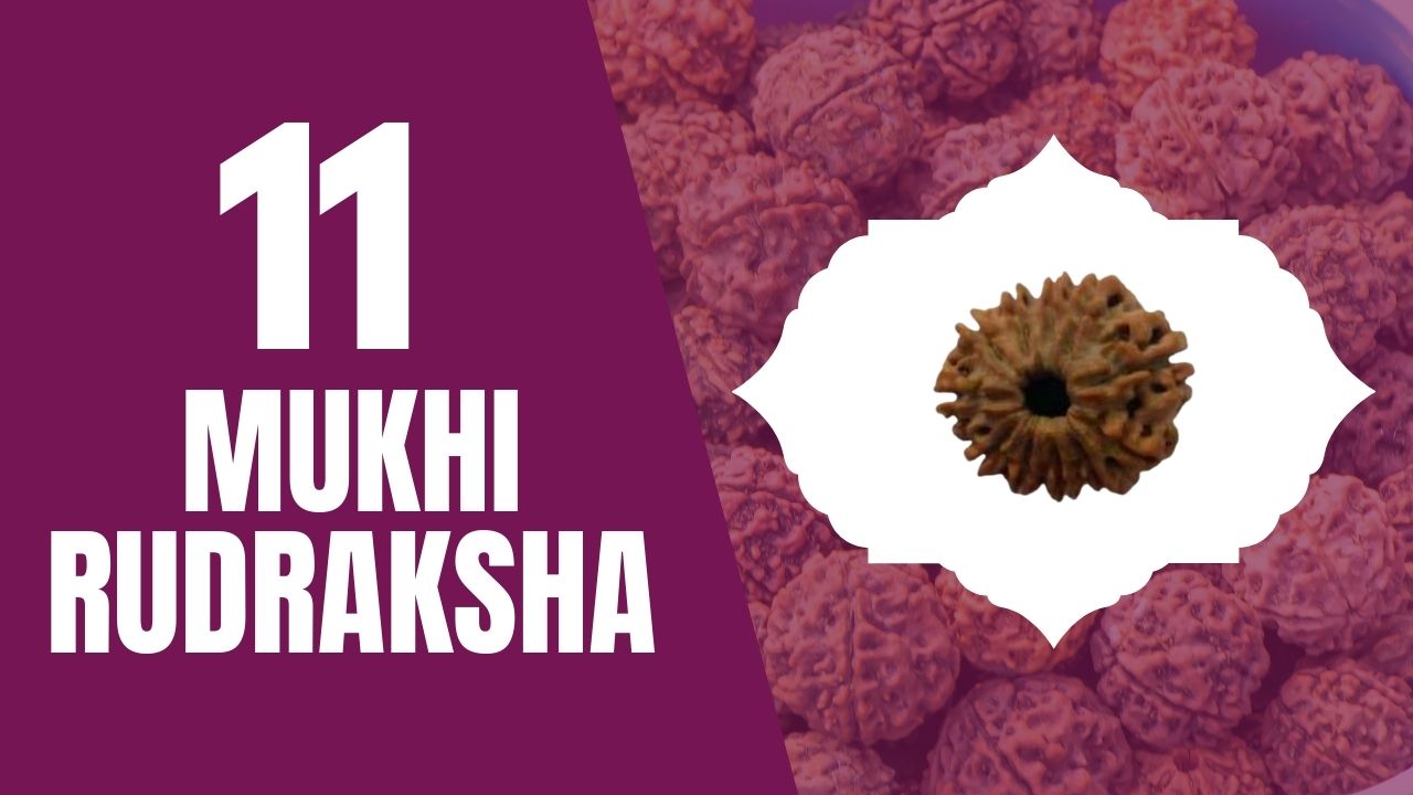 You are currently viewing ELEVEN MUKHI RUDRAKSHA