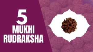Read more about the article FIVE MUKHI  RUDRAKSHA