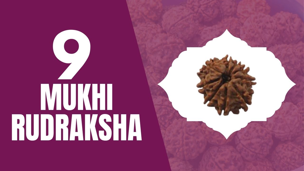 You are currently viewing NINE MUKHI RUDRAKSHA