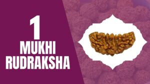 Read more about the article ONE MUKHI RUDRAKSHA
