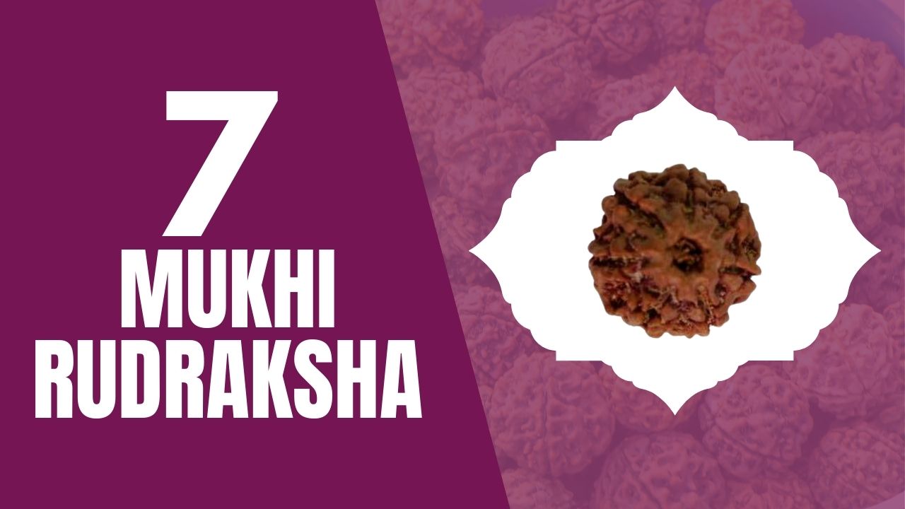 You are currently viewing SEVEN MUKHI RUDRAKSHA