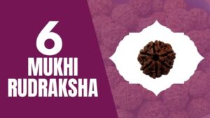Read more about the article SIX MUKHI RUDRAKSHA
