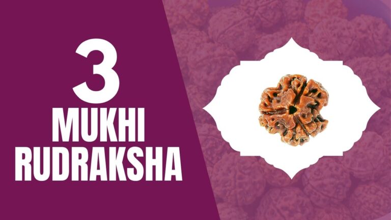 Read more about the article THREE MUKHI  RUDRAKSHA