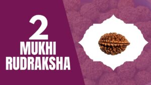Read more about the article TWO MUKHI RUDRAKSHA