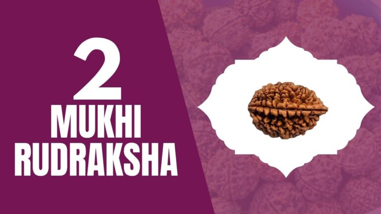 Read more about the article TWO MUKHI RUDRAKSHA