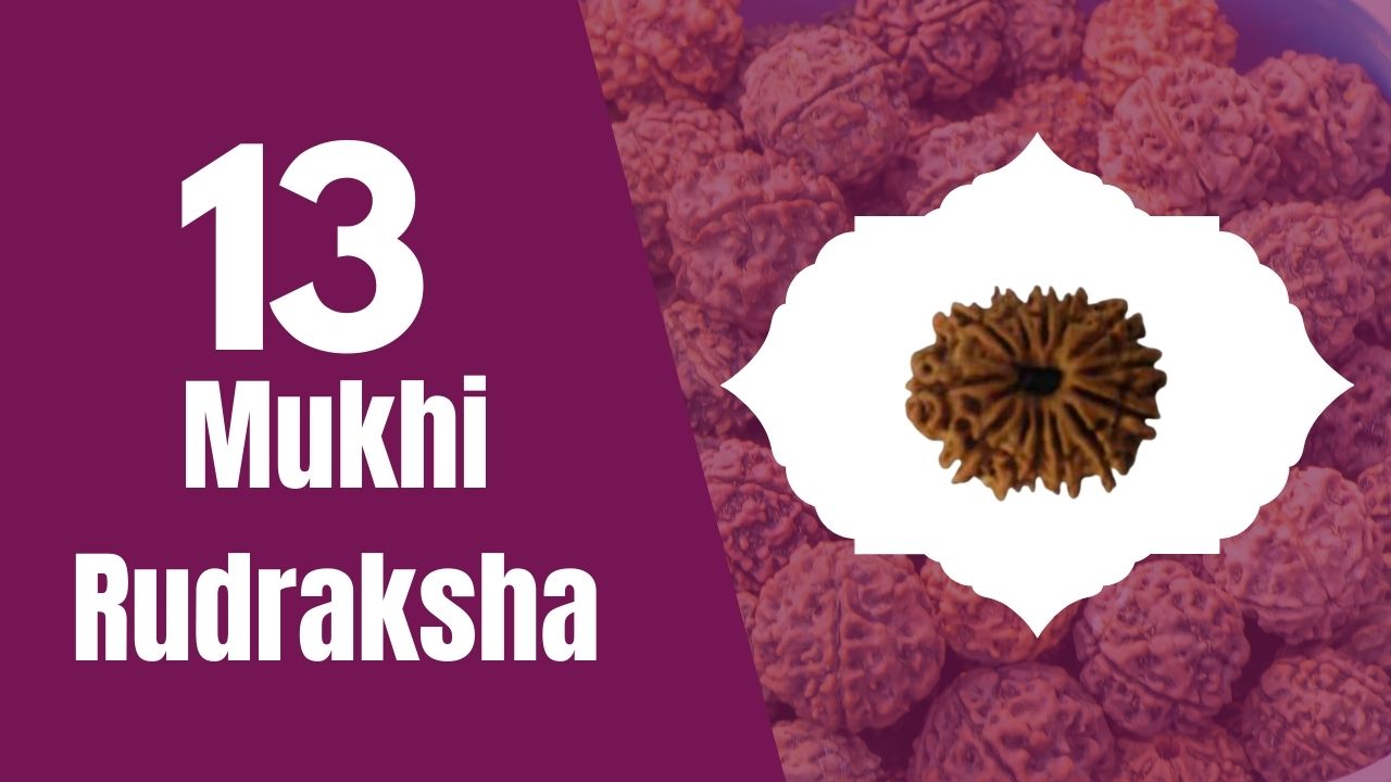 You are currently viewing Thirteen Mukhi  Rudraksha